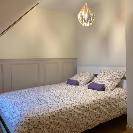 Daire Historical Town Center Spacious Flat