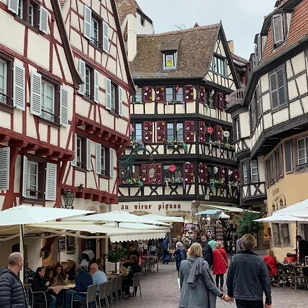 Apartment Historical Town Center Spacious Flat Colmar