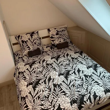 Apartment Historical Town Center Spacious Flat
