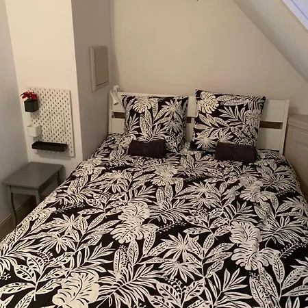 Apartment Historical Town Center Spacious Flat Colmar