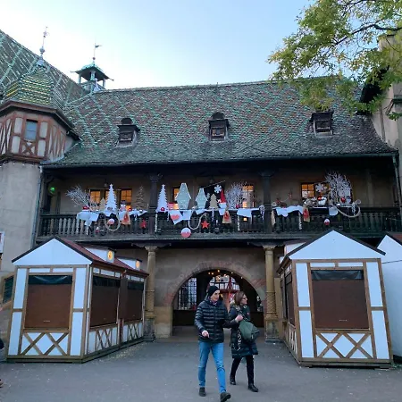 Daire Historical Town Center Spacious Flat Colmar