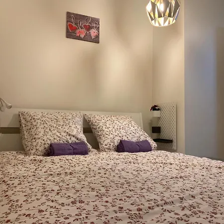Historical Town Center Spacious Flat Colmar