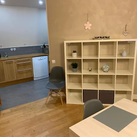 Historical Town Center Spacious Flat