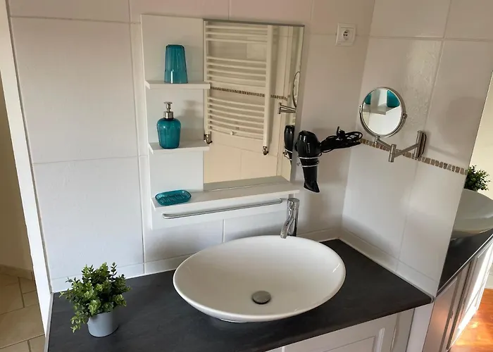 Daire Historical Town Center Spacious Flat Colmar