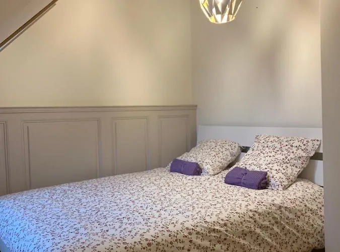 Daire Historical Town Center Spacious Flat