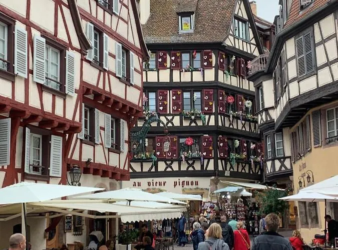 Daire Historical Town Center Spacious Flat Colmar