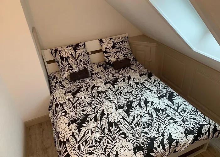 Daire Historical Town Center Spacious Flat