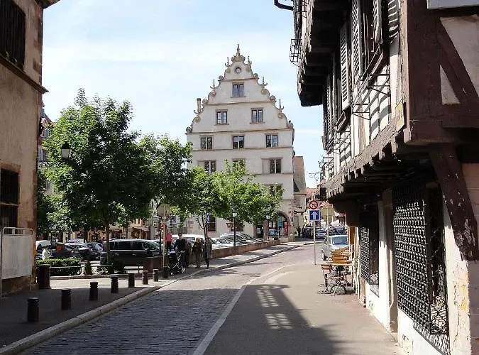 Daire Historical Town Center Spacious Flat Colmar