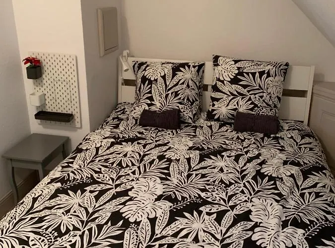 Daire Historical Town Center Spacious Flat Colmar