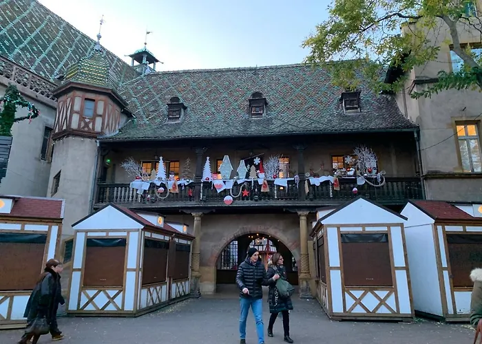 Daire Historical Town Center Spacious Flat Colmar