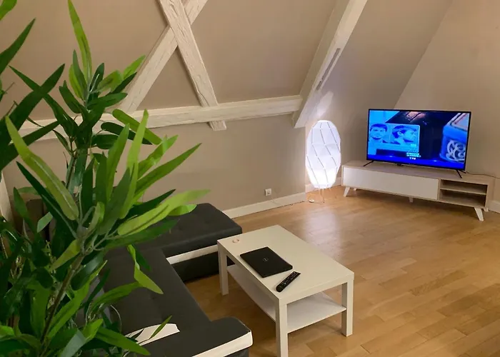 Historical Town Center Spacious Flat