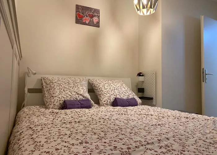 Historical Town Center Spacious Flat Colmar