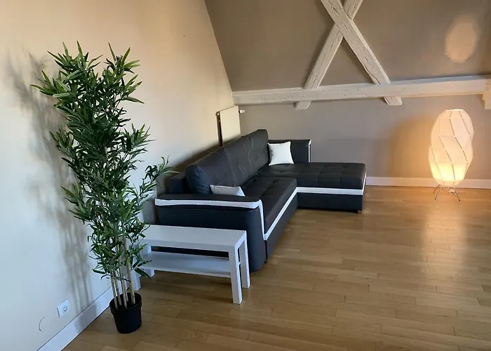 Daire Historical Town Center Spacious Flat Colmar